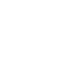 豊富なメニュー